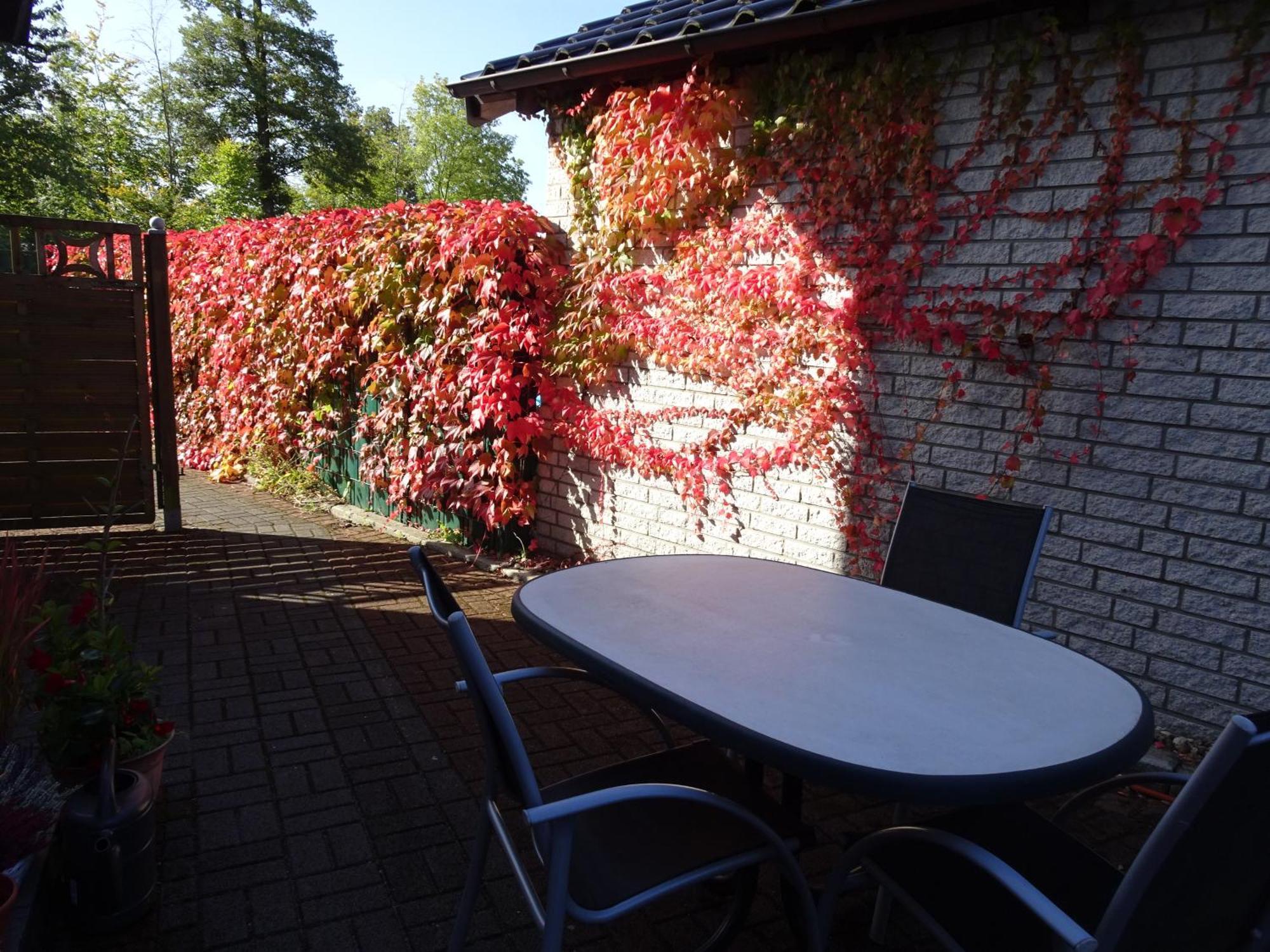 Ferienwohnung Im Gruenen Mit Terrasse Wf Apartment *
